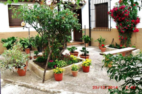 Casa del Abuelo 1